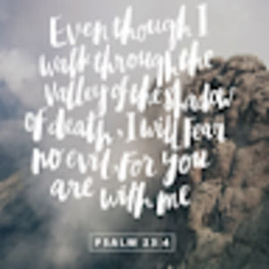 Meet your Posher, Tabitha